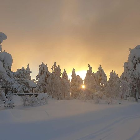 Ro I Sjelen. Hytte Til Leie Pa Skrim. Kongsberg Exterior photo