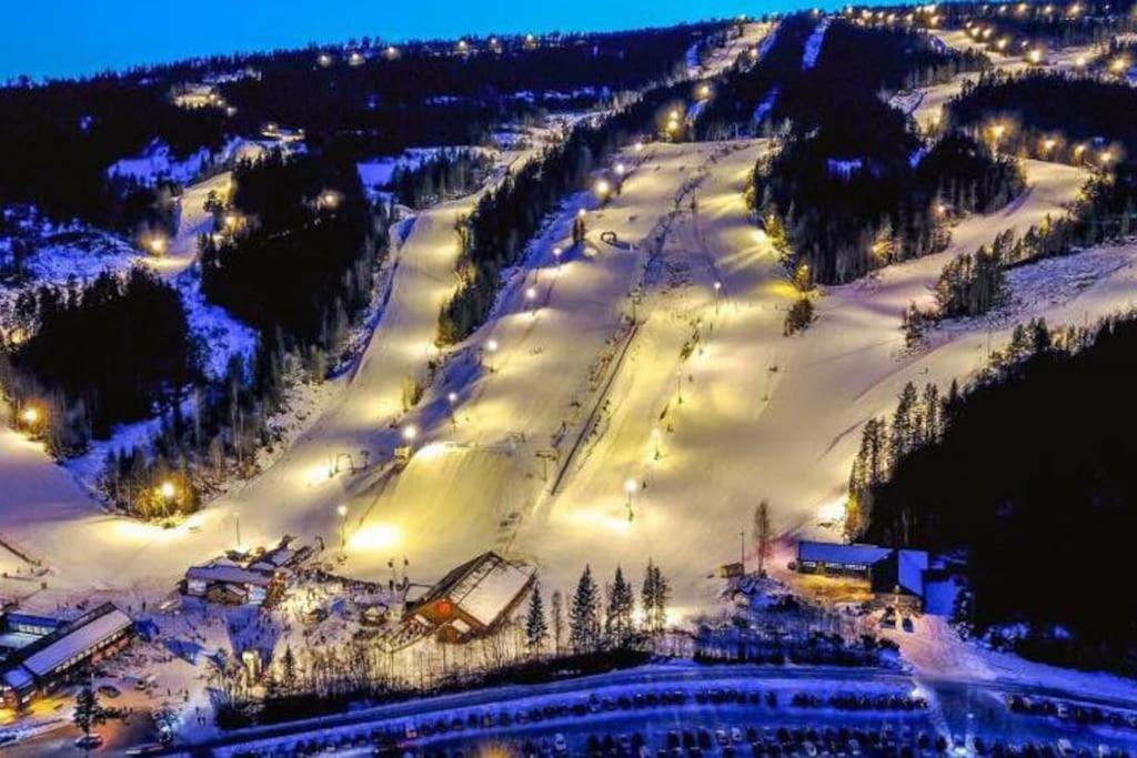 Ro I Sjelen. Hytte Til Leie Pa Skrim. Kongsberg Exterior photo