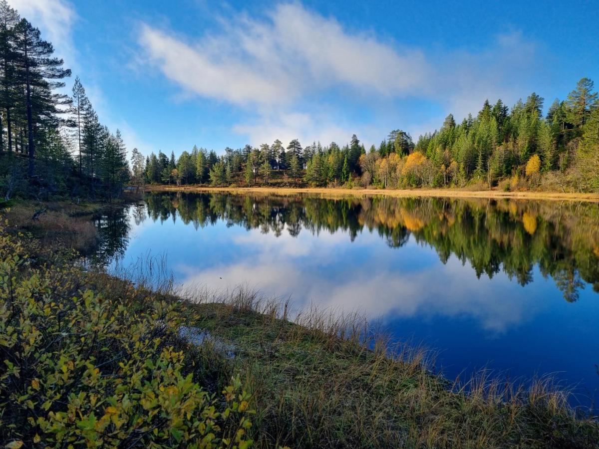 Ro I Sjelen. Hytte Til Leie Pa Skrim. Kongsberg Exterior photo