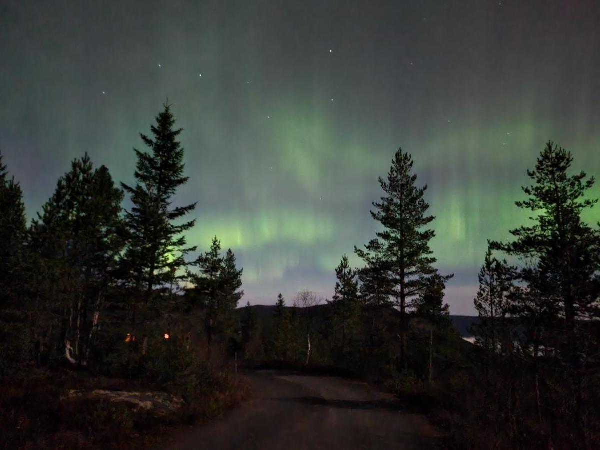 Ro I Sjelen. Hytte Til Leie Pa Skrim. Kongsberg Exterior photo