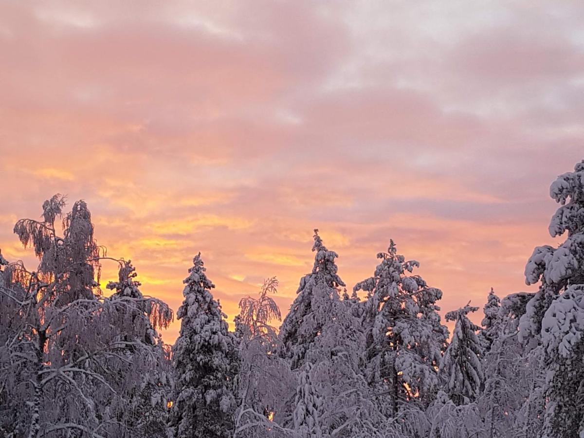 Ro I Sjelen. Hytte Til Leie Pa Skrim. Kongsberg Exterior photo