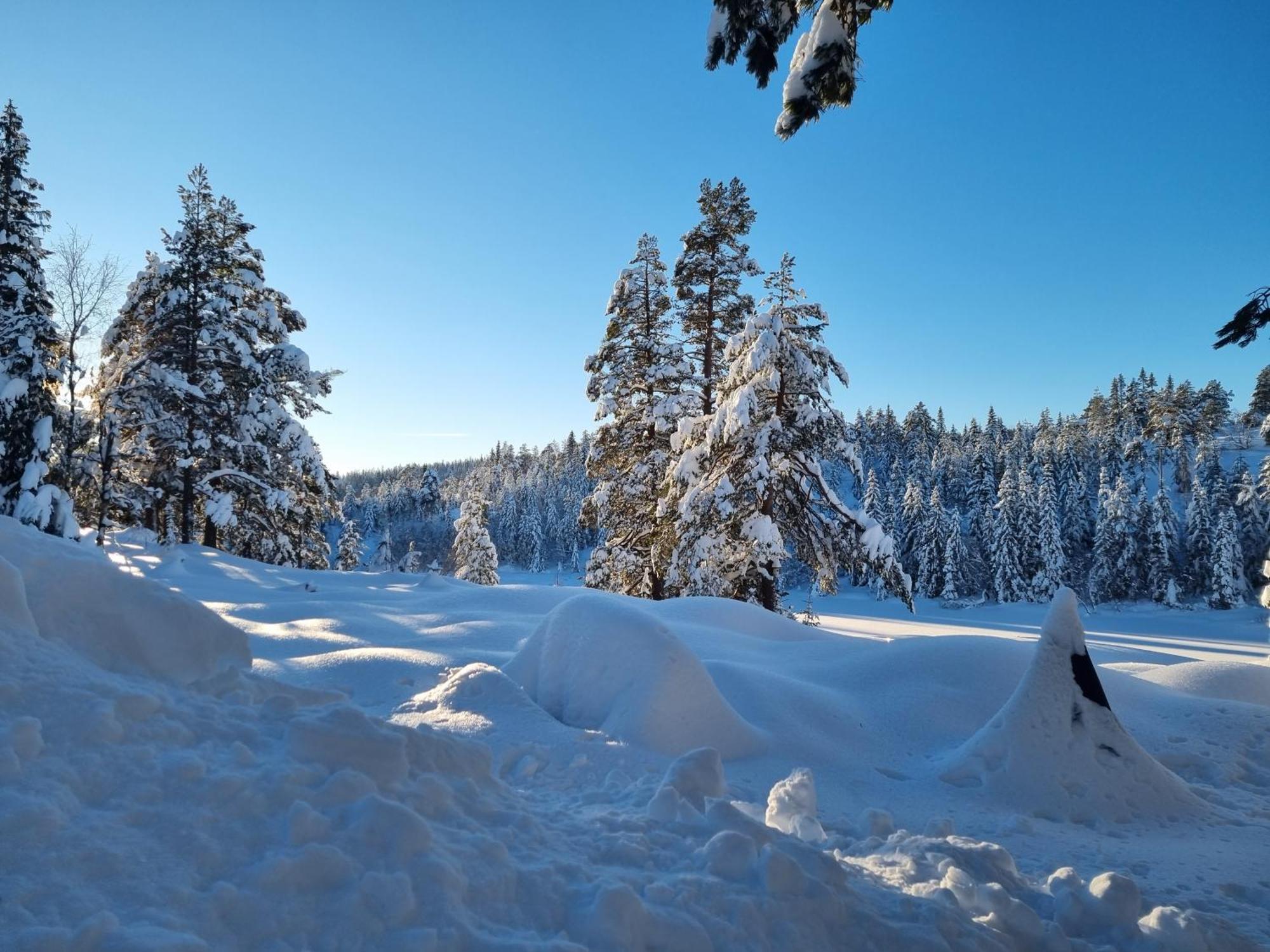 Ro I Sjelen. Hytte Til Leie Pa Skrim. Kongsberg Exterior photo