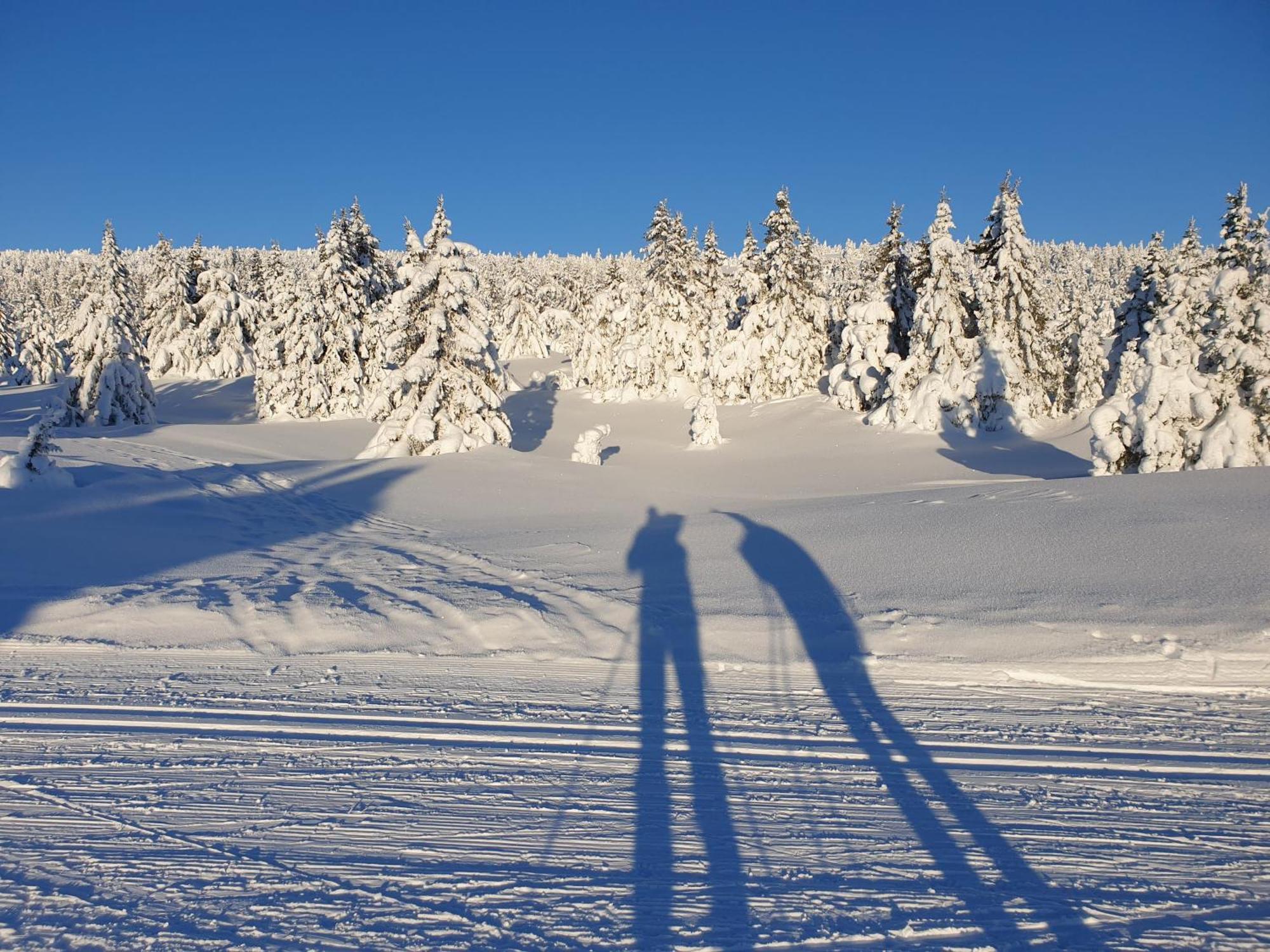 Ro I Sjelen. Hytte Til Leie Pa Skrim. Kongsberg Exterior photo