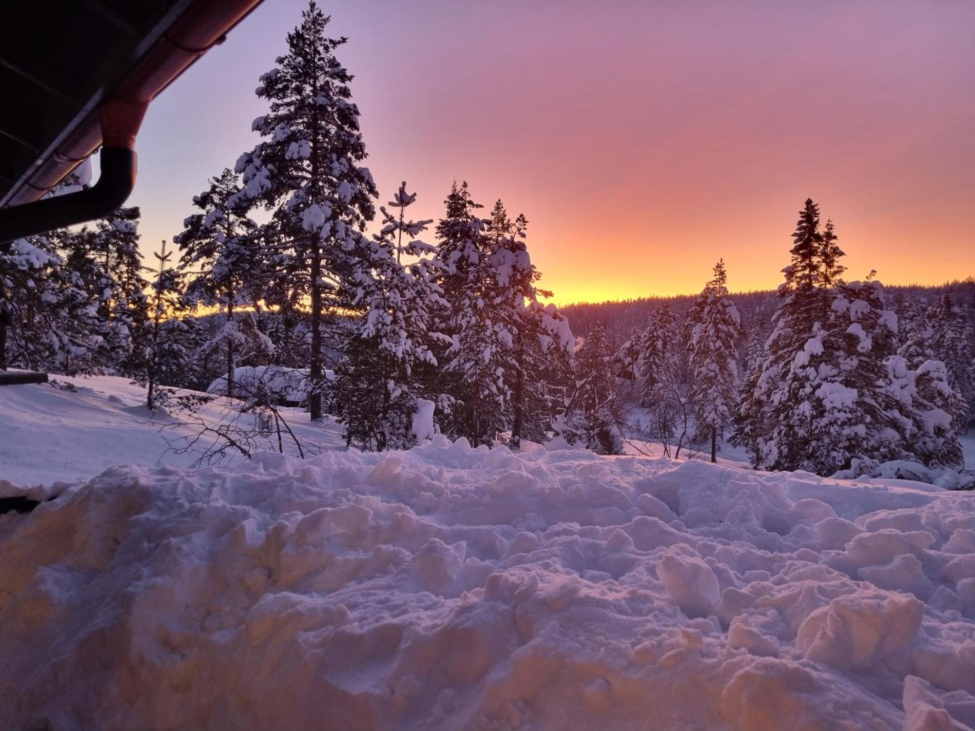 Ro I Sjelen. Hytte Til Leie Pa Skrim. Kongsberg Exterior photo