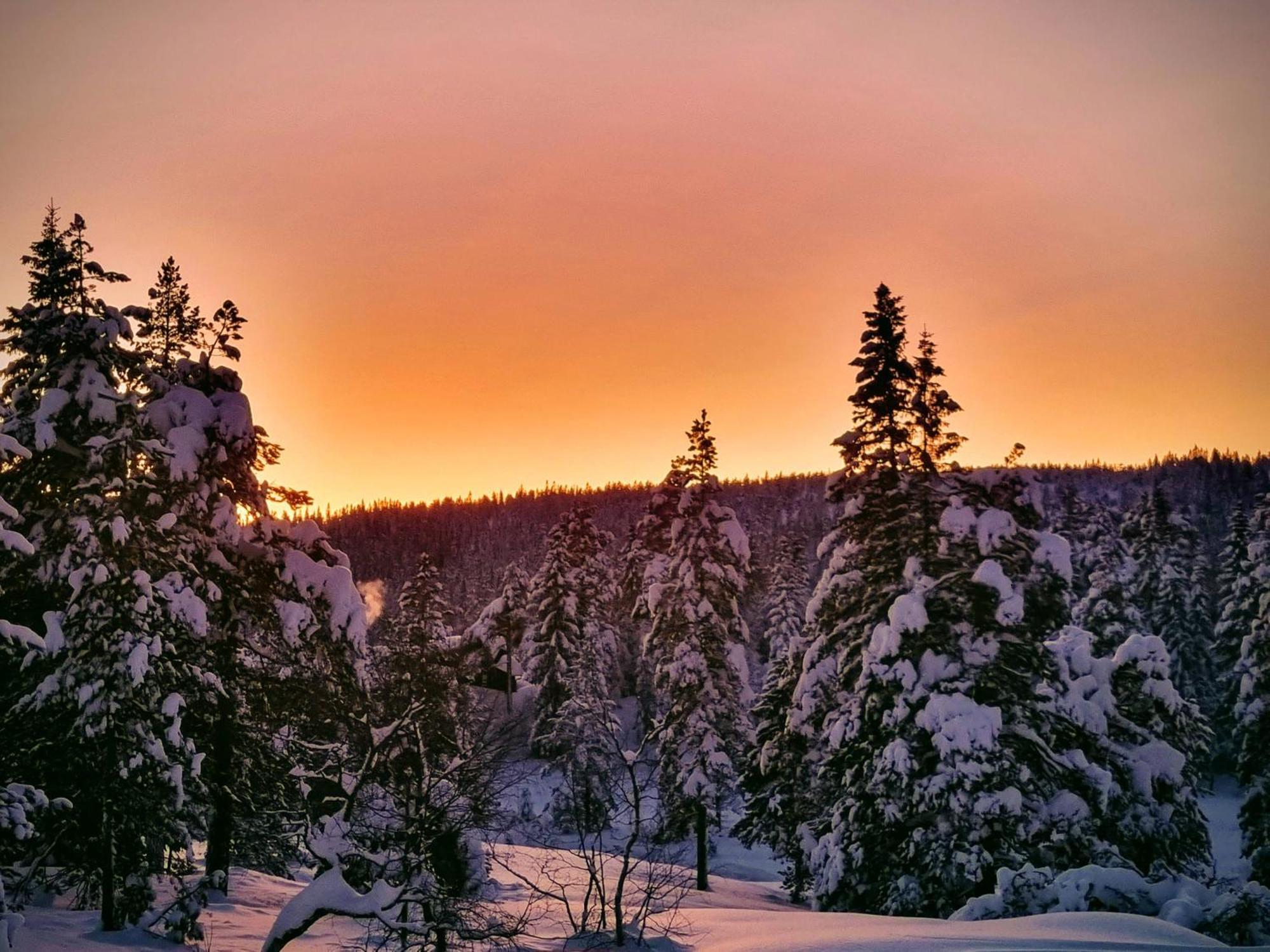 Ro I Sjelen. Hytte Til Leie Pa Skrim. Kongsberg Exterior photo