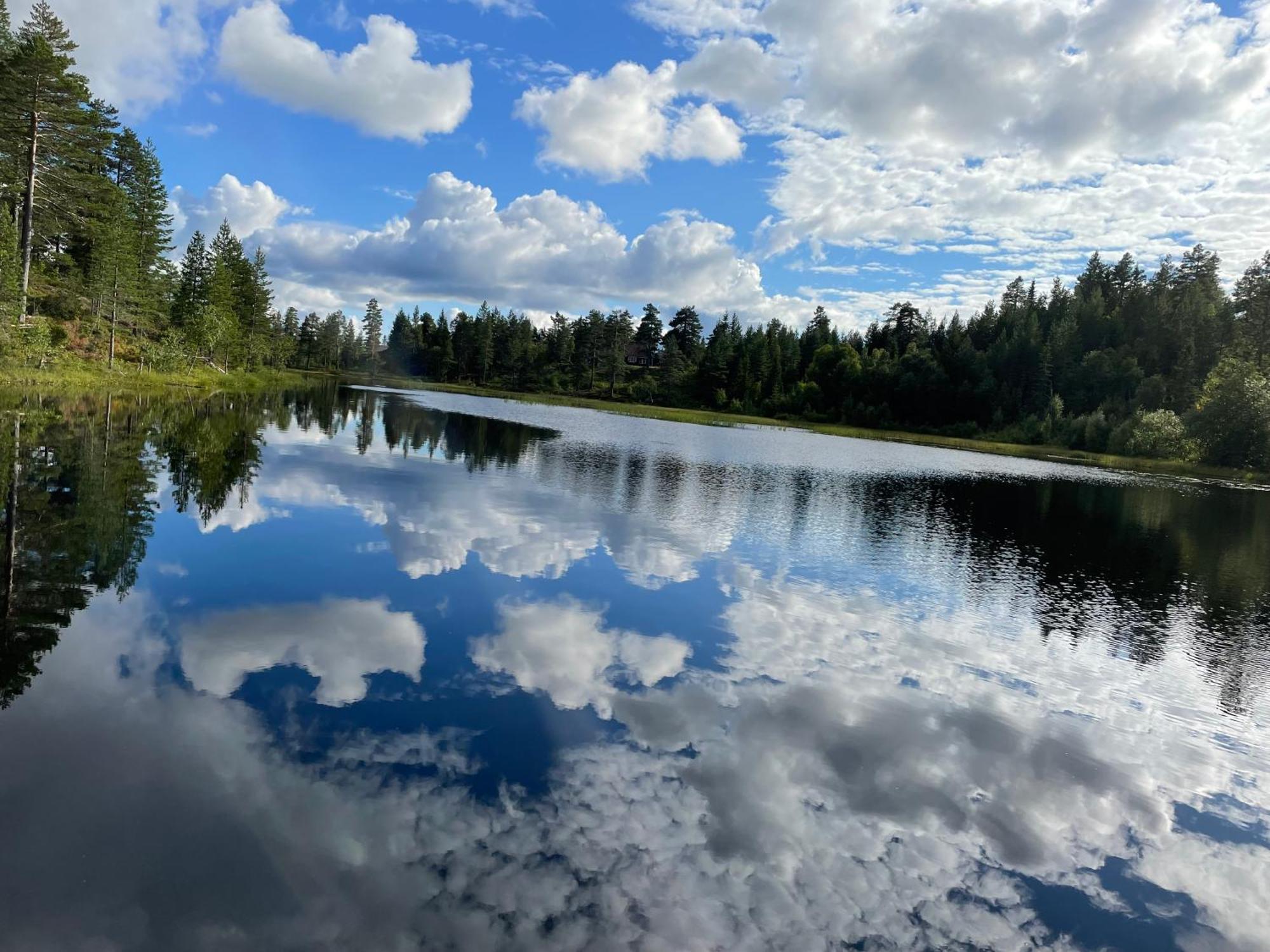 Ro I Sjelen. Hytte Til Leie Pa Skrim. Kongsberg Exterior photo